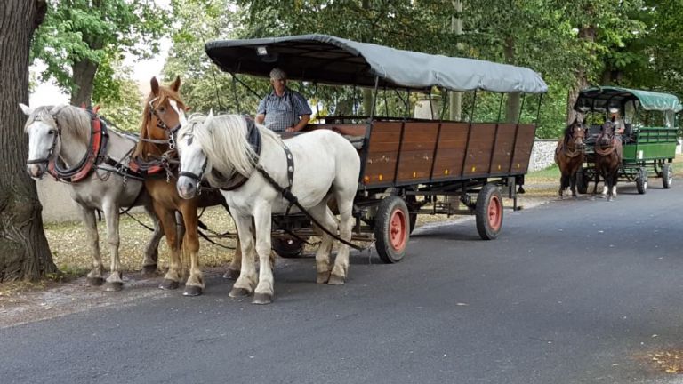 Warten auf die nächsten Fahrgäste
