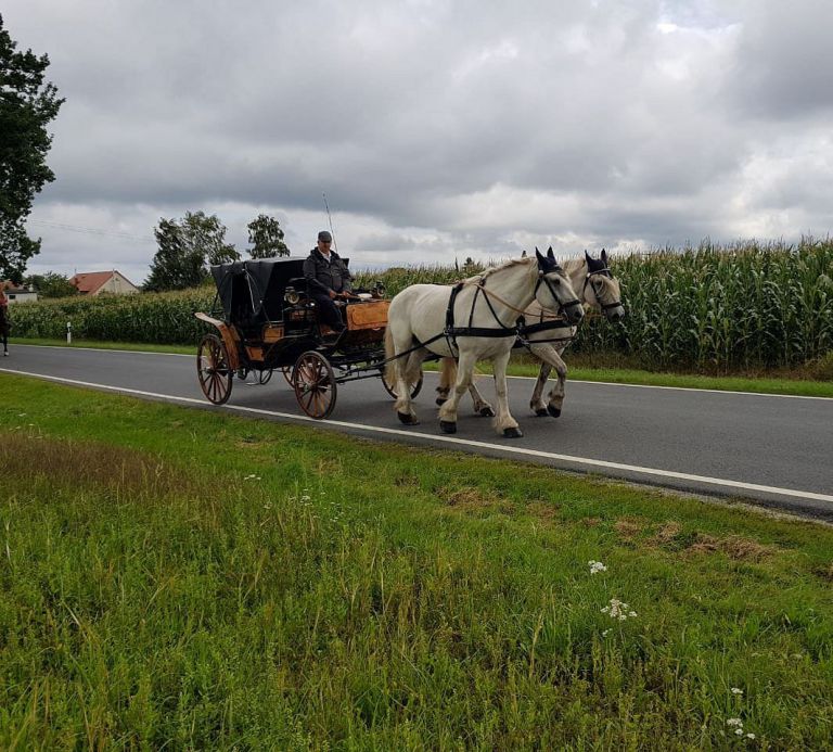 Auf dem Weg zum JubiLäumspaar