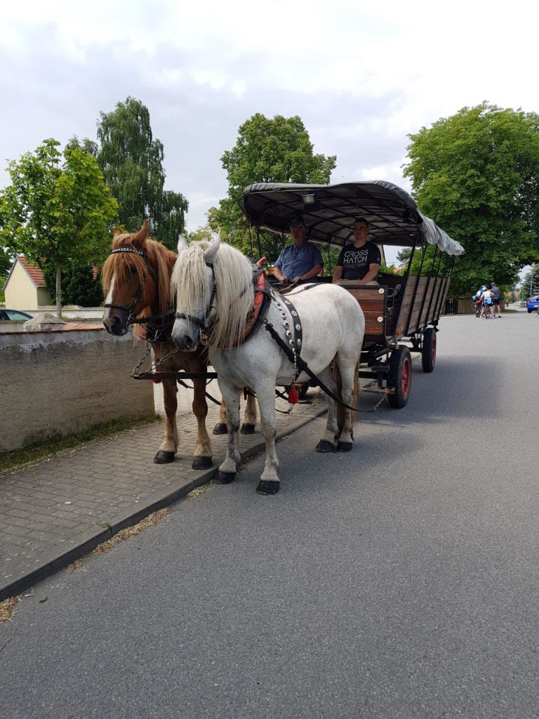 Unser Kremser in Moritzburg